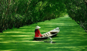 Về quê Nội